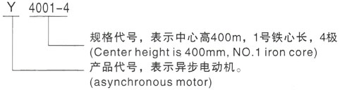 西安泰富西玛Y系列(H355-1000)高压ZSN4-315-22三相异步电机型号说明